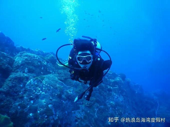 探索更多,尽在映日荷花别样红全古诗蜗牛问答平台